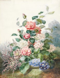 Various Flowers Growing in a Landscape Setting